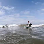 Surfer's Den *